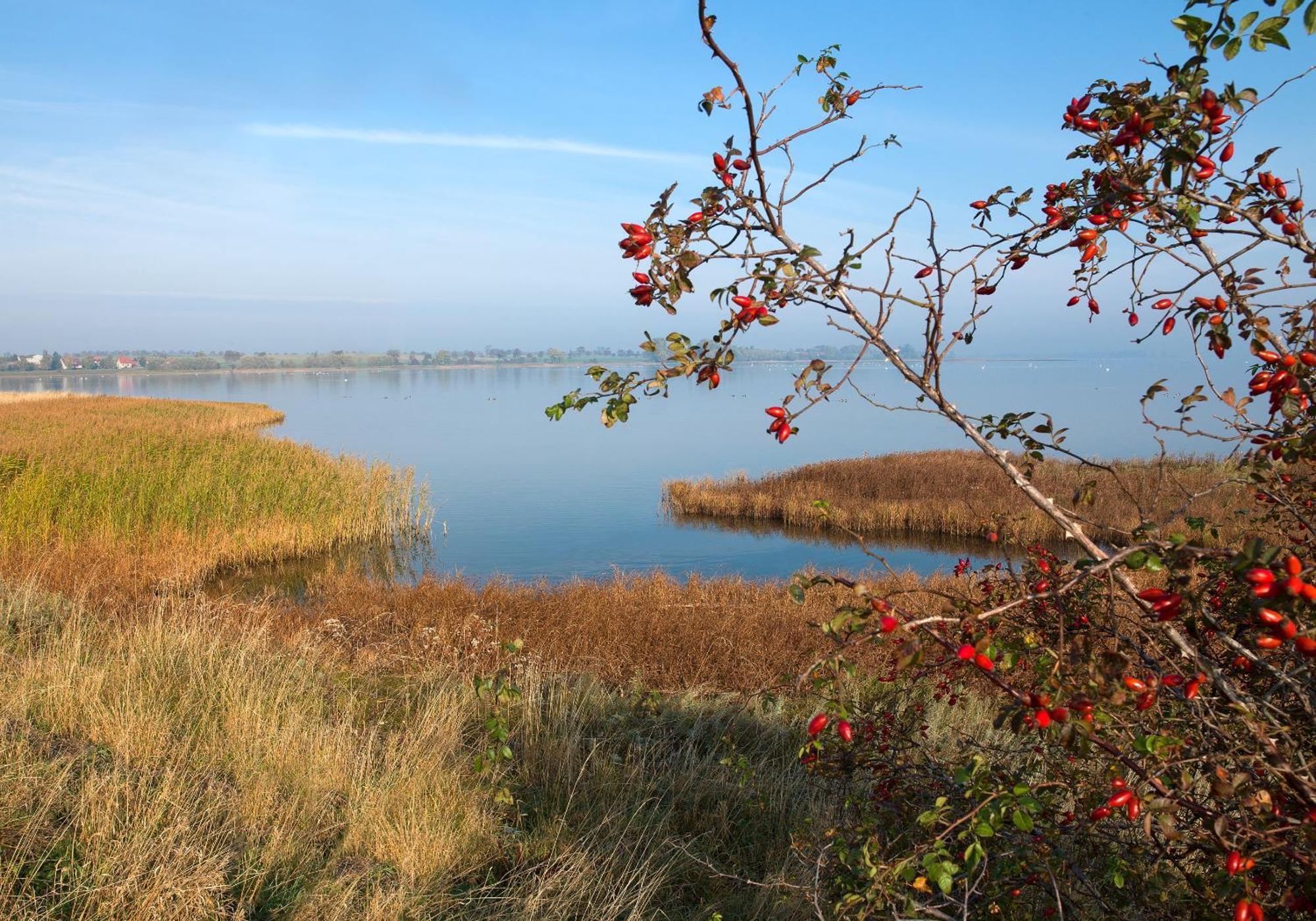 Residenz Am Yachthafen Strandaster Kirchdorf  外观 照片